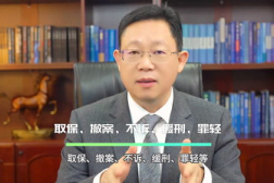 刑事案律师咨询,专业辩护,法律援助指南”
