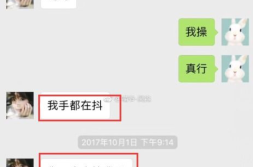 陈翔江铠同聊天记录,揭秘幕后聊天记录