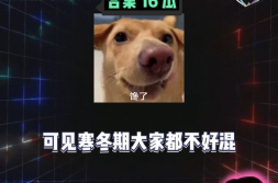 歌曲娱乐八卦吃瓜,揭秘“吃瓜群众”背后的狂欢世界