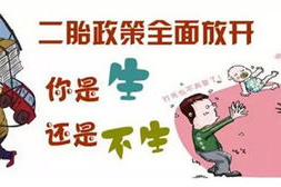 上海生二胎政策,生育条件、补贴及实施细节