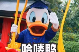 娱乐圈吃瓜鸭微博,揭秘明星幕后故事